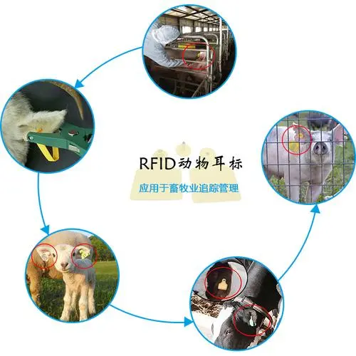 rfid电子标签